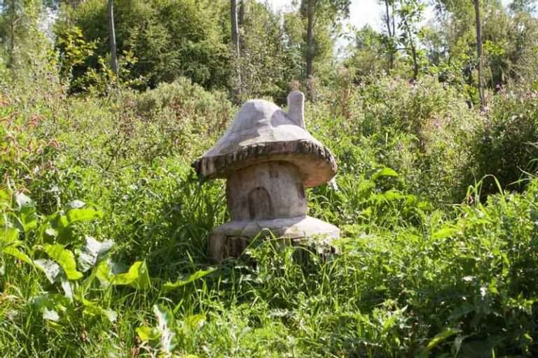 Staatsbosbeheer in Zaanstreek-Waterland