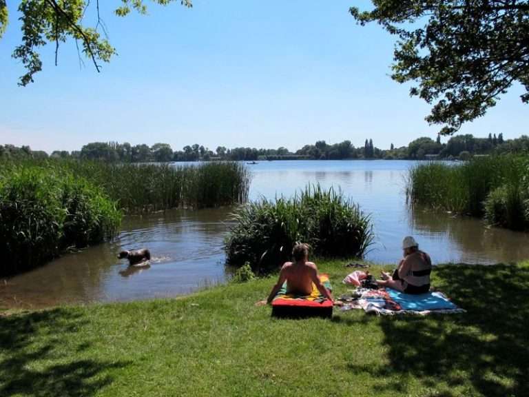 Recreation area Hoge Dijk - De Speelsloot