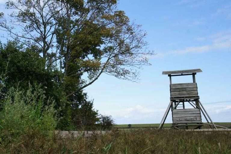 Staatsbosbeheer in the Noordkop