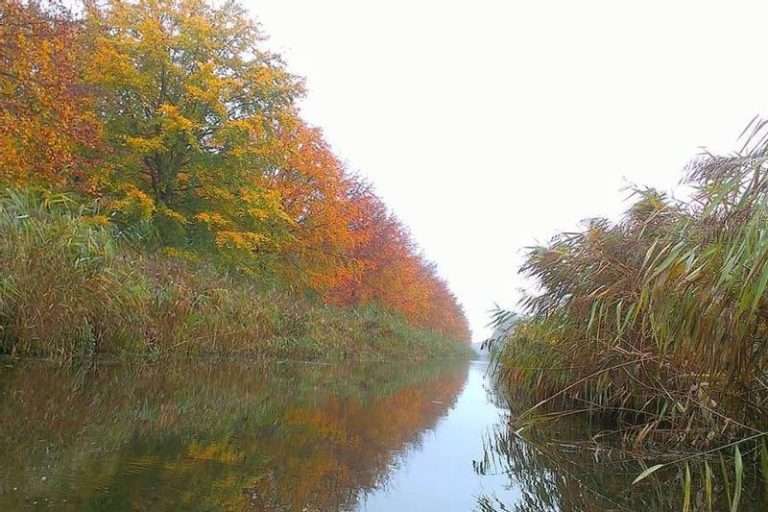 Staatsbosbeheer Flevo
