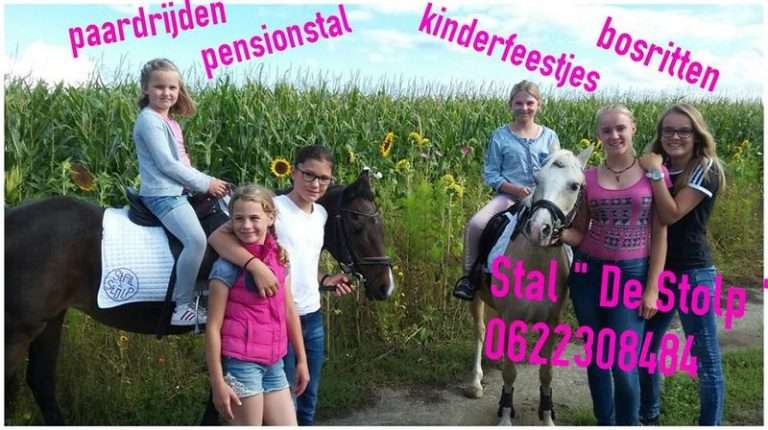 Children's party at Stal de Stolp in Slootdorp