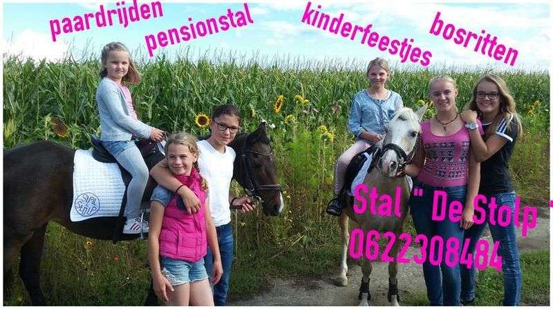 Children’s party at Stal de Stolp in Slootdorp