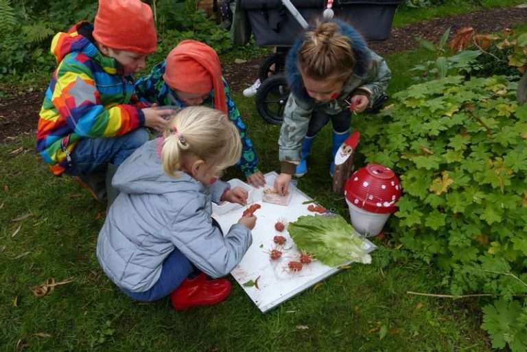 Captain Rommel's Garden