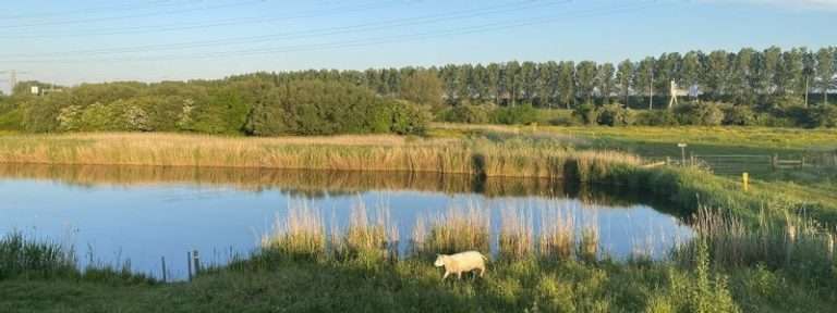 Nature reserve Sint Aagtendijk in Beverwijk