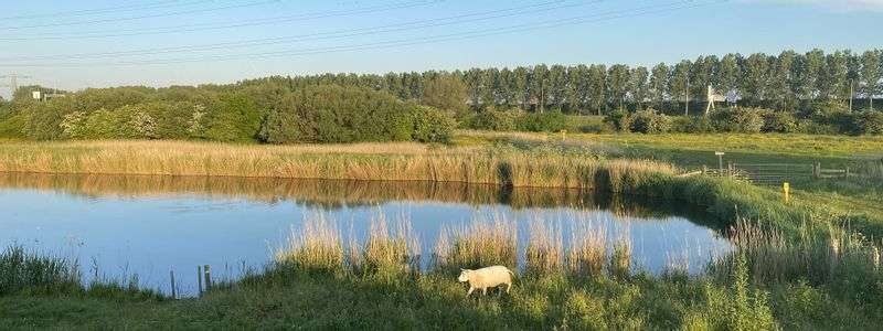Nature reserve Sint Aagtendijk in Beverwijk