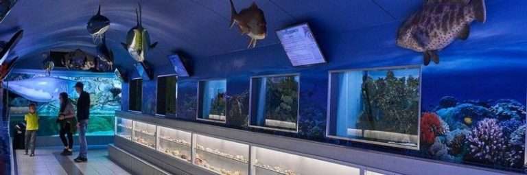 Sea aquarium Bergen aan Zee