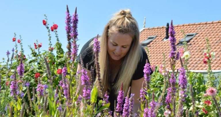 Care farm Happy on the Farm - t Zand