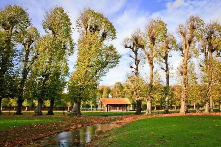 Day out: with the forester to Landgoed Elswout