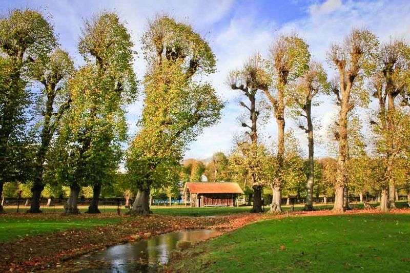 Day out: with the forester to Landgoed Elswout