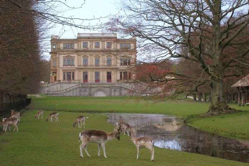 Country estate Landgoed Elswout in nature reserve Elswout