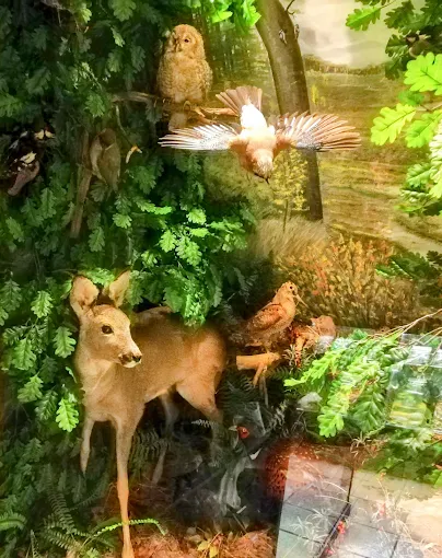 Artisklas Haarlem | The smallest zoo in the Netherlands