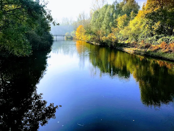 Barbecuing in Spaarnwoude Park