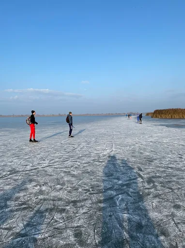 BC Oostvaardersplassen