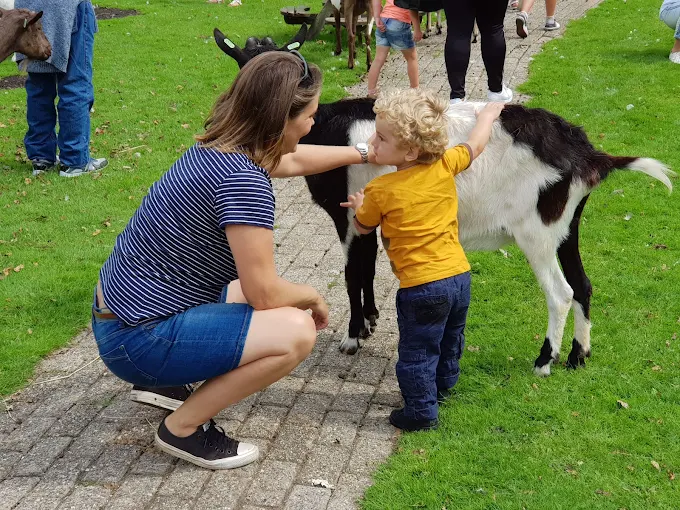 Animal Joy petting zoo (Piet van Houtenpark)