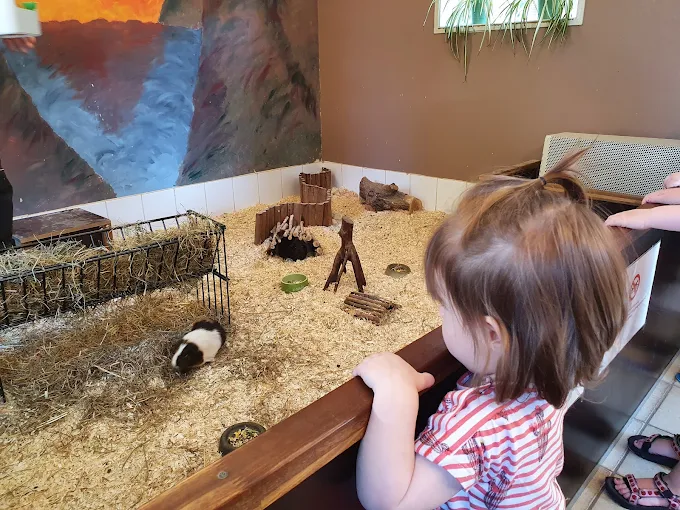 Animal Village petting zoo (Heemskerk Dierendorp)