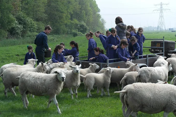 Boerderijfeestje op boerderij Koningshoeve