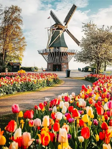 Keukenhof